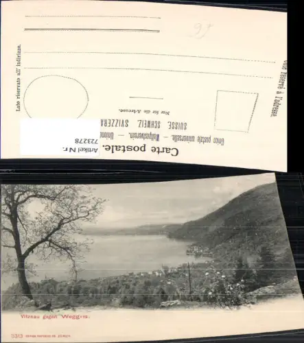 723278 Vitznau am Vierwaldstädtersee gegen Weggis Baum i. Vordergrund
