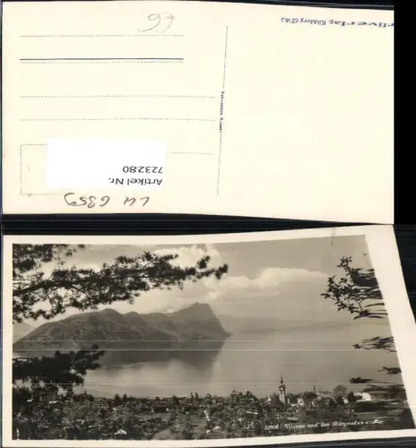 723280 Vitznau am Vierwaldstädtersee Bürgenstock Baum i. Vordergrund
