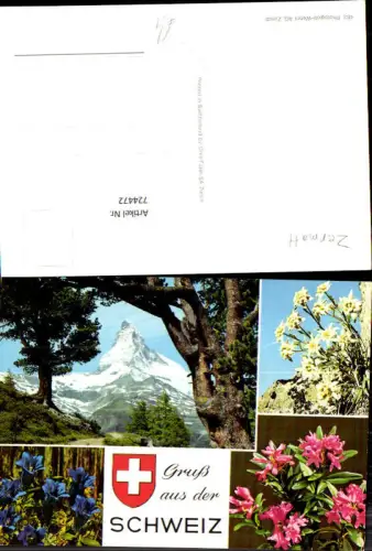 724472 Zermatt Matterhorn Alpenflora