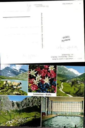 724533 Mehrbild AK Leukerbad Loeche les Bains Daubensee Alpenblumen Balmhorn Cemmi Rheumabad