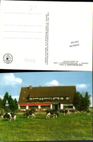 725724 Bad Oeynhausen Cafe Sonnenschein Rinder Kühe