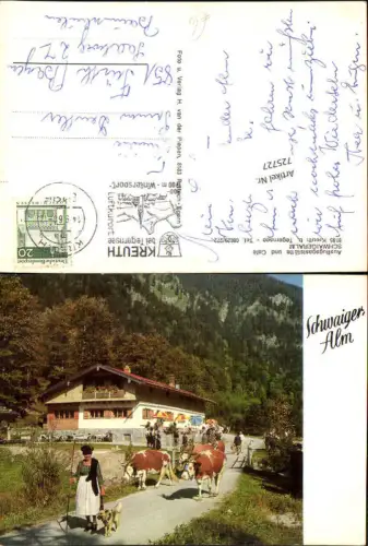 725727 Kreuth b. Tegernsee Schwaigeralm Rinder Kühe