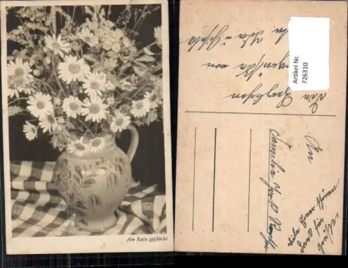 726310 Vase mit Blumen Margeriten Vegetation Krug Am Rain gepflückt