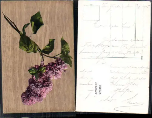 726318 Vegetation Blumen Blütenzweig Flieder