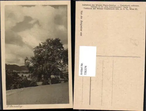 726374 F. Emmerling Von der Bergwiese aus Die Naturfreunde Vegetation