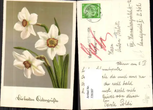 726187 Ostern Narzissen Blumen