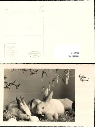 726215 Foto AK Ostern Hasen Eier Weidenzweig Blütenzweig