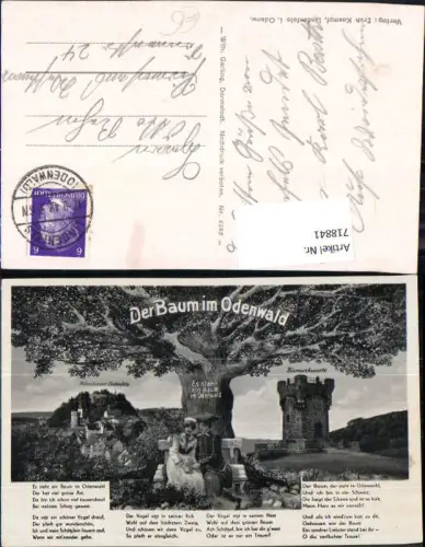718841 Der Baum im Odenwald Lindenfels gel Pirmasens