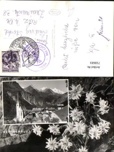 718683 Foto Mehrbild AK Heiligenblut a. d. Glocknerstraße Edelweiß Alpenflora