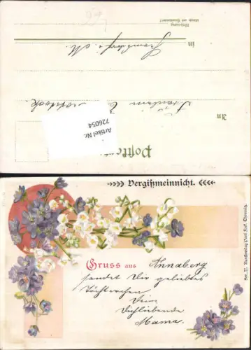 726054 tolle Lithographie Vergißmeinnicht Blumen pub Paul Fink Chemnitz