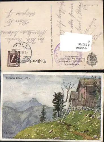 720796 Künstler AK E. F. Hofecker Türnitz Türnitzer Höger Lilienfeld