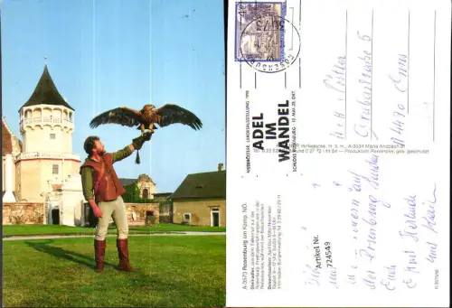 724549 Rosenburg am Kamp Falkenhof Steinadler Freiflugvorführung
