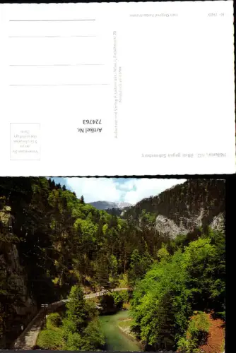 724763 Höllental NO Blick gegen Schneeberg Nasswald Bez. Mödling