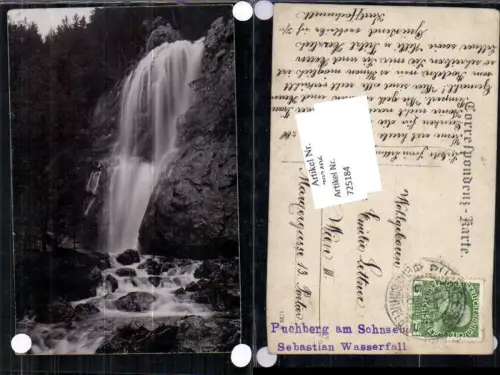 725184 Foto-AK Puchberg am Schneeberg Sebastian Wasserfall