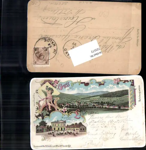 725572 Lithographie Gruss aus Laab am Walde b. Mödling pub Schwidernoch 2865