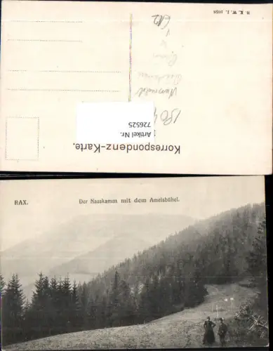 726525 tolle AK Rax Nasskamm Ameisbühel Reichenau an der Rax Nasswald Bez. Neunkirchen