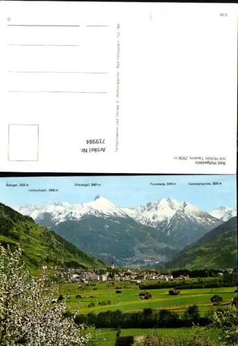 719984 Bad Hofgastein mit Hohen Tauern Baumblüte im Vordergrund