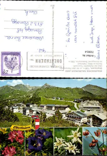 720014 Mehrbild AK Obertauern m. Seekarspitze Alpenflora Edelweiß Enzian