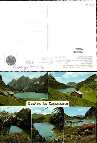 720016 Mehrbild AK Kleinarl Tappenkarsee Tappenkarseealm Tappenkarseehaus