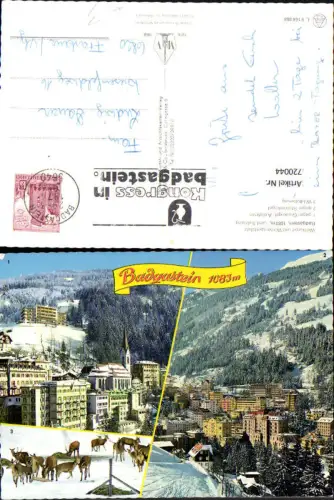 720044 Mehrbild AK Badgastein Bad Gastein geg. Graukogel Wildfütterung i. Winter