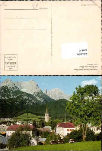720140 Saalfelden a. Steinernen Meer Ansicht mit Kirche Kühe Rinder i. Vordergrund