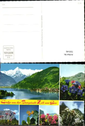 720146 Mehrbild AK Zell a. See Ansicht Alpenflora Enzian Edelweiß