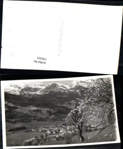 720333 Foto AK Bad Hofgastein m. Hundskopf Baumblüte i. Vordergrund
