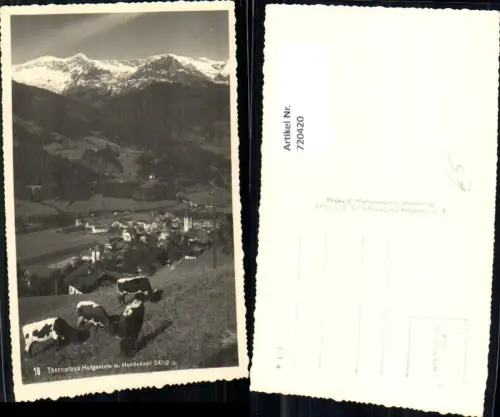720420 Foto AK Bad Hofgastein m. Hundskopf Kühe Rinder im Vordergrund