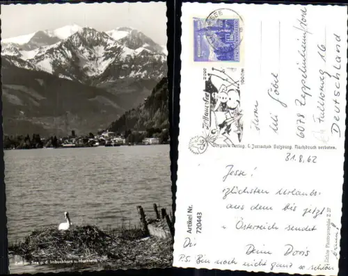 720443 Foto AK Zell a. See geg. Imbachhorn u. Hochtenn Schwan im Nest