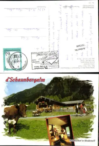 721504 Niedernsill Piesendorf Bez. Zell am See 1997