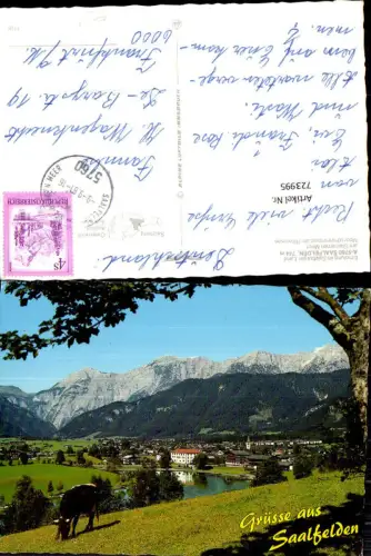 723995 Saalfelden a. Steinernen Meer Kuh Rind Ritzensee