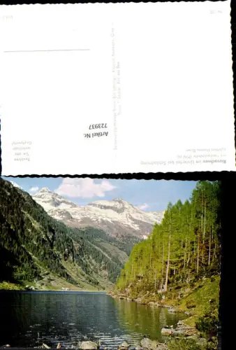 723937 Riesachse im Untertal b. Schladming mit Hochwildestelle