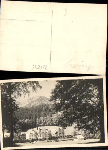 726536 Foto-AK Gußwerk Mariazell Maria Zell Brandhof