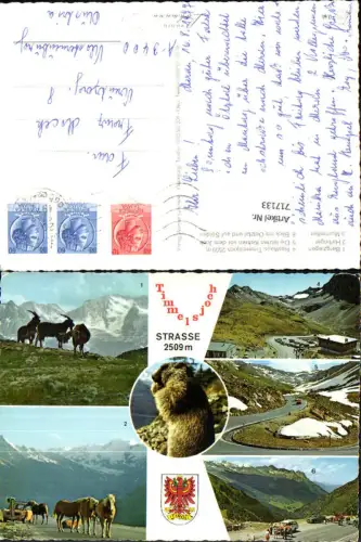 717133 Mehrbild AK Timmelsjoch Straße Sölden Obergurgl Bergziegen Murmeltier Rasthaus