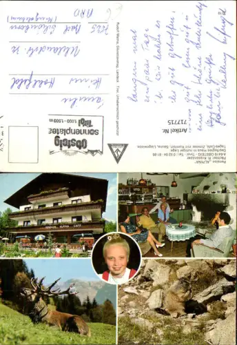 717715 Mehrbild AK Obsteig in Tirol Pension Alpina Murmeltier Hirsch Mädchen Kind