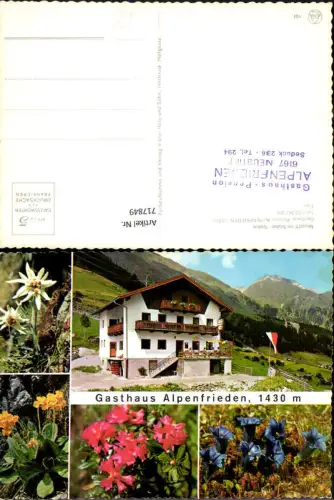 717849 Mehrbild AK Neustift im Stubaital Seduk Gasthaus Pension Alpenfrieden Enzian Edelweiß