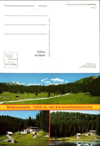 718150 Mehrbild AK Seefeld in Tirol Wildmoos Alm Rinde Kühe