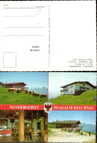 718162 Mehrbild AK Hopfgarten Brixental Wandergebiet Haagalm-Kelchsau Kühe Rinder Gaststube