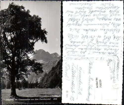 718229 Foto AK Pertisau a. Achensee Lamsenspitze a. d. Falzthurntal