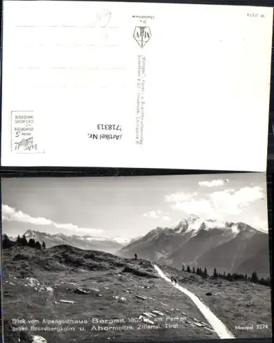 718313 Foto AK Finkenberg Blick v. Alpengasthaus Bergrast a. Penken geg. Brandbergkolm Ahornspitze Zillertal