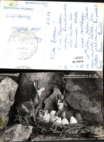 719327 Foto AK Landeck Gemsennest in d. Nordostsüdwest d. Gamskogels pub Risch-Lau 4855