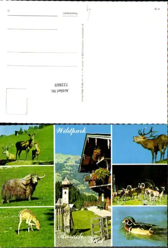 722869 Aurach Wildpark Bez. Kitzbühel