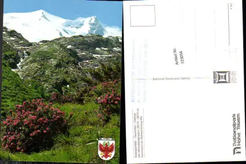 723056 Innergschlöß Tauerntal Alpenrosen am Weg Matrei in Osttirol Bez. Lienz
