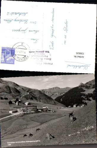 720820 Foto AK Bludenz Faschina m. Damülser Mittagsspitze Kühe Rinder