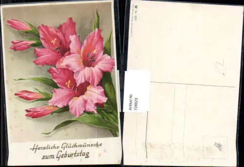 724923 Geburtstag Blumen Gladiolen