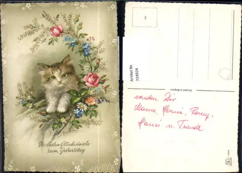 724924 Geburtstag Katze Blumen Rose Vergissmeinnicht
