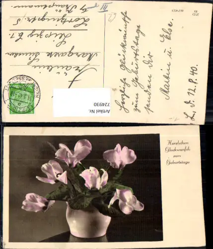 724930 Geburtstag Blumen Vase mit Alpenveilchen