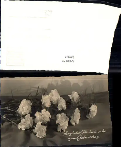 724937 Geburtstag Blumen Nelken
