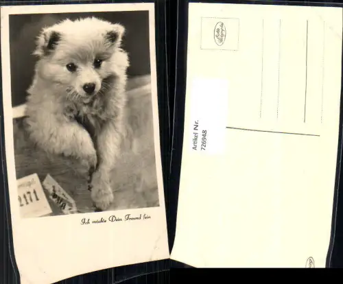 726948 Foto AK Tiere Hund Hundewelpen Welpen Ich möchte dein Freund sein