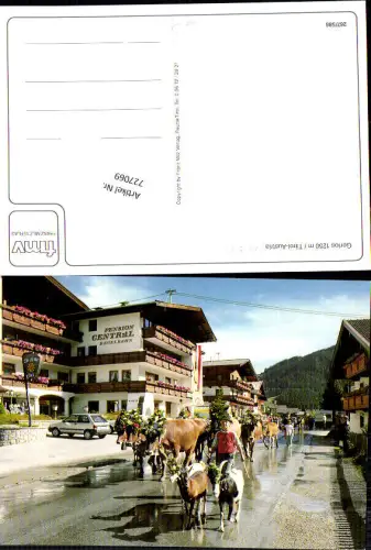 727069 Gerlos Pension Central Almabtrieb Kühe Rinder Tirol